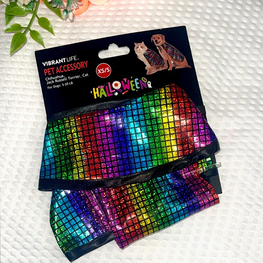 - 🌈- Vibrant Halloween Pet Accessory - Multicolor